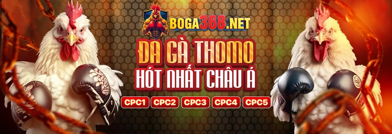 Hình ảnh minh họa các mẹo cờ bạc an toàn