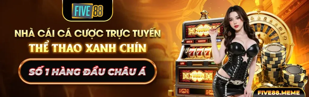 Ưu đãi VIP đá gà vvvwin bet